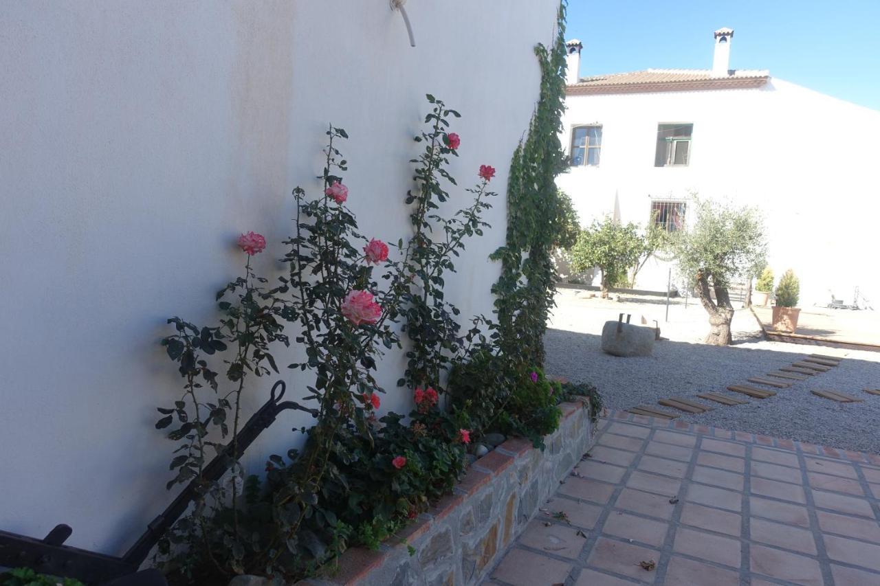 Galwey, Tourist Appartments With Wifi Málaga Exterior foto